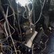 Illustration for article titled 10 Of Your Biggest Cable Management Disasters
